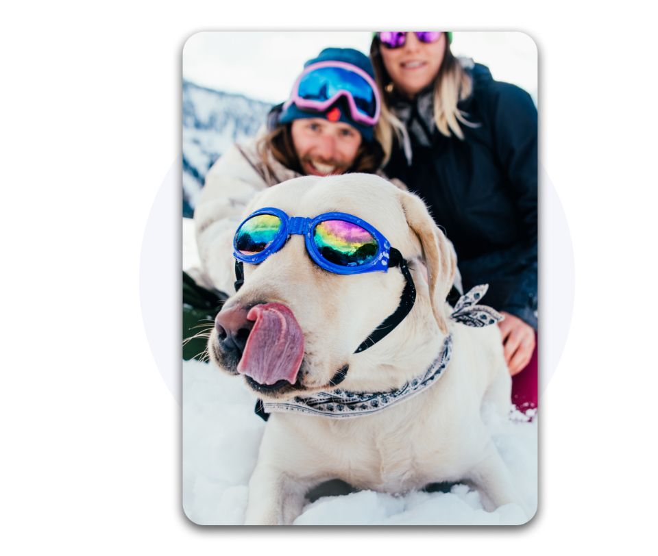 Bonuszins Kontoeröffnung