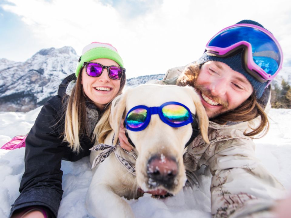 Kampagnenbild Bonuszins Teaser