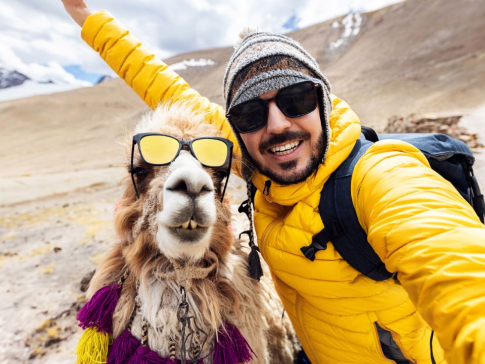 Willkommenszins_teaser